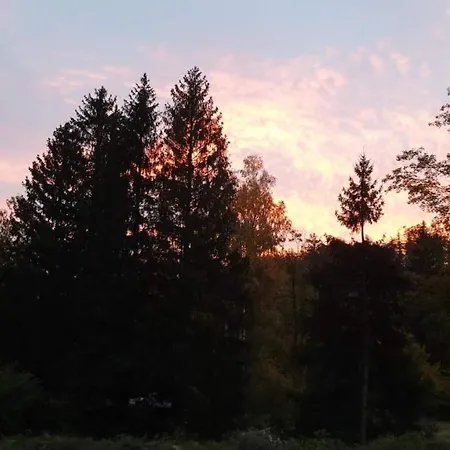 Omszale Glazy Mossy Rocks Dom Na Wylacznosc * Zachelmie (Jelenia Gora)