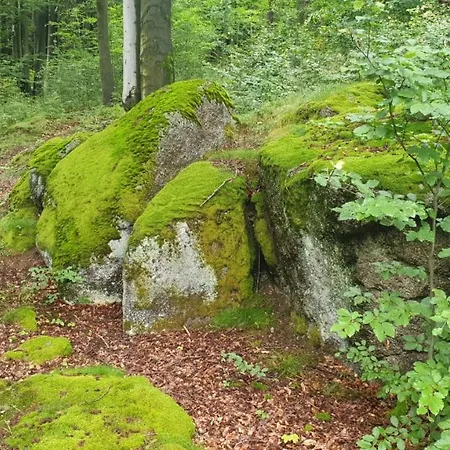 Omszale Glazy Mossy Rocks Dom Na Wylacznosc Chalet *