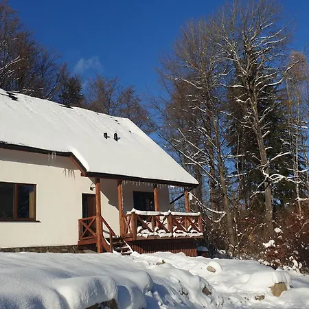 Omszale Glazy Mossy Rocks Dom Na Wylacznosc Chalet Zachelmie (Jelenia Gora)